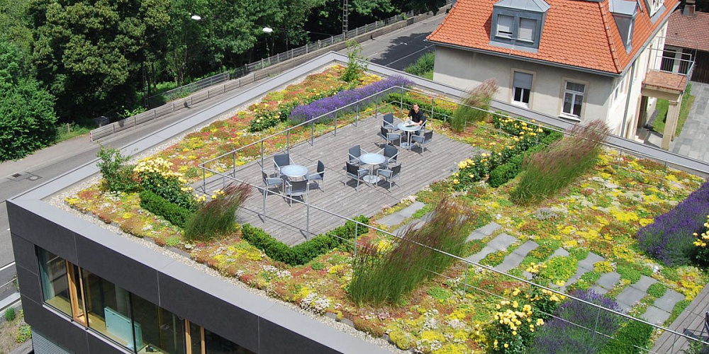 Зеленая кровля в частном доме: технологии устройства и особенности монтажа