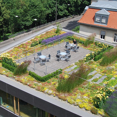 Зеленая кровля в частном доме: технологии устройства и особенности монтажа